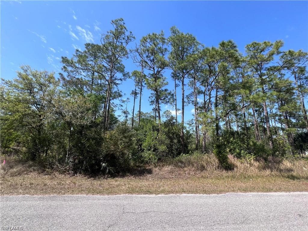 1317 Washington AVE LEHIGH ACRES, FL 33972
