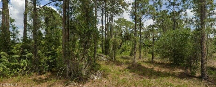 713 Clemwood AVE S LEHIGH ACRES, FL 33974