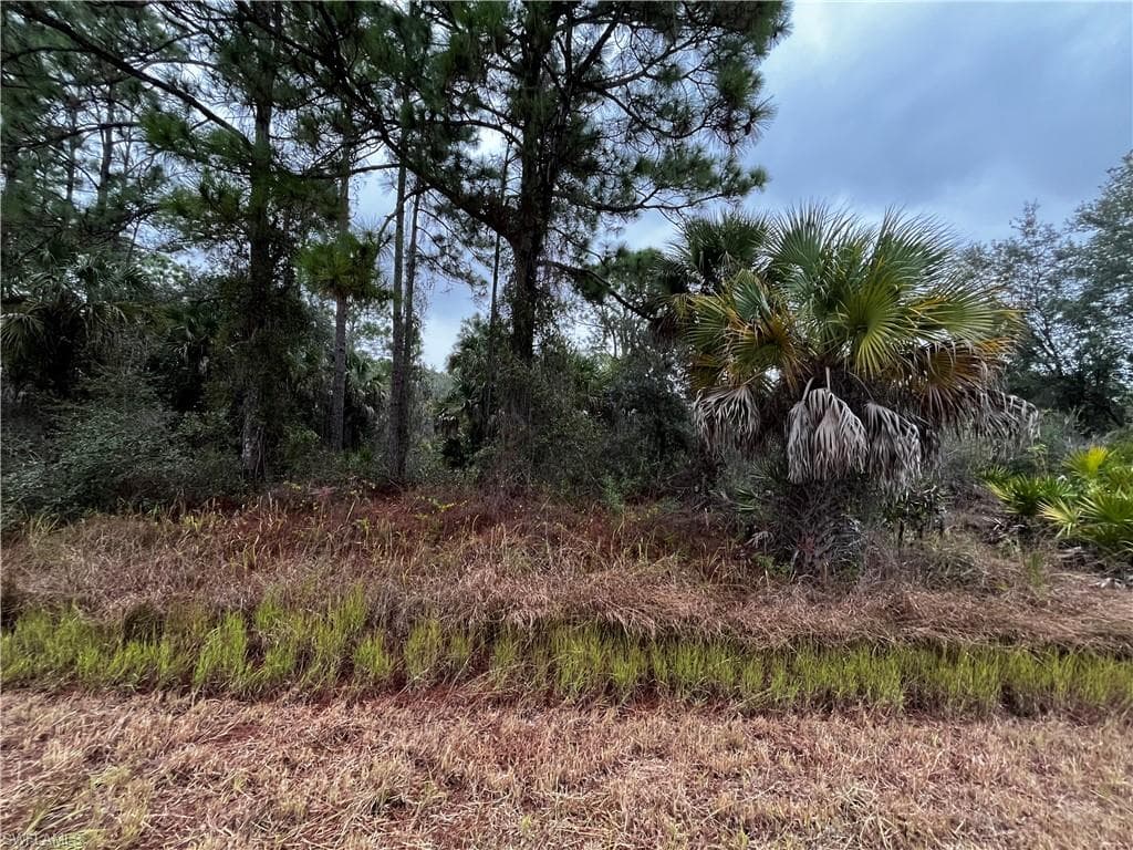 4211 E 25th ST ALVA, FL 33920