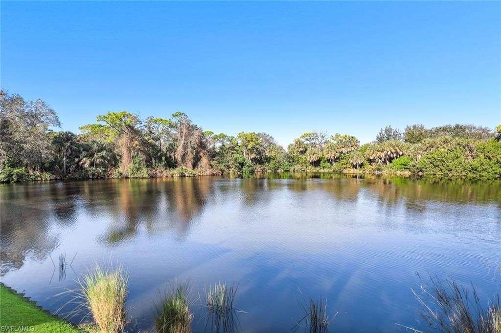 27030 Lake Harbor CT 202 BONITA SPRINGS, FL 34134