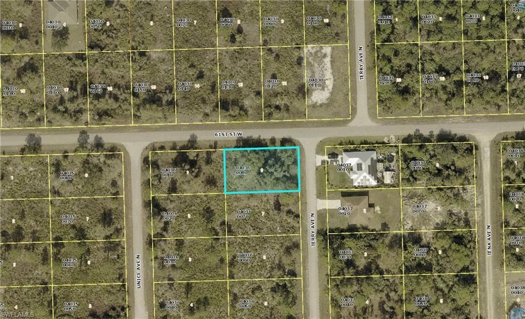 6017 Terry AVE N LEHIGH ACRES, FL 33971