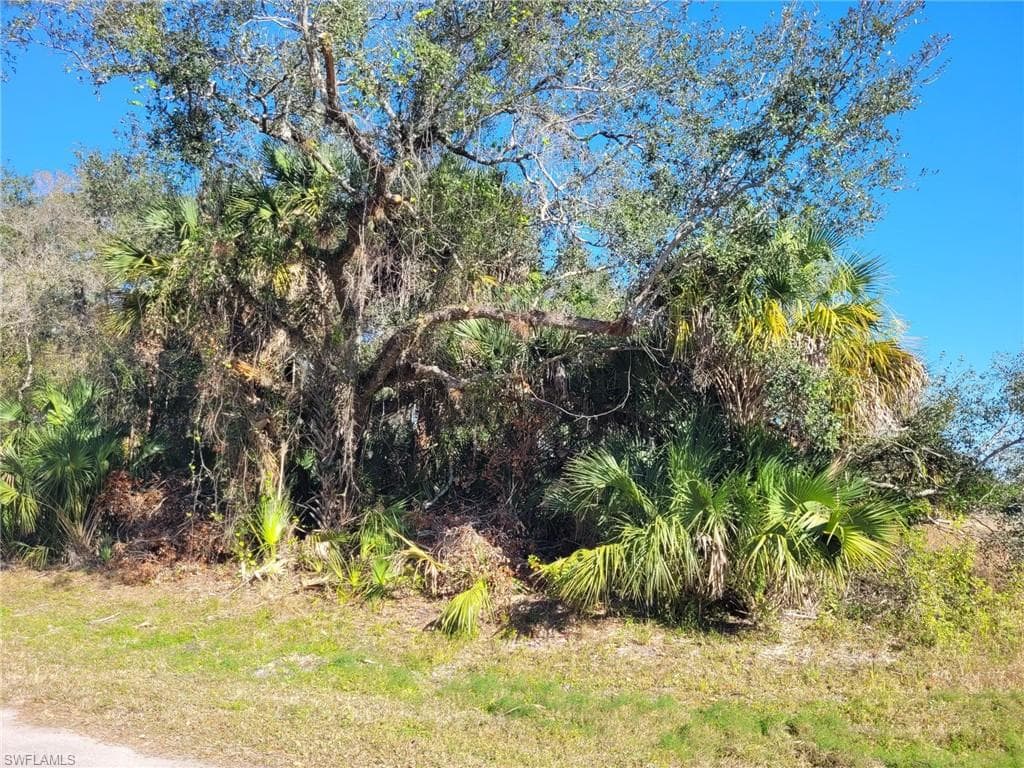 March LN LABELLE, FL 33935