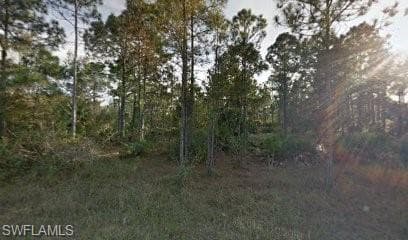 1114 Rance ST E LEHIGH ACRES, FL 33974