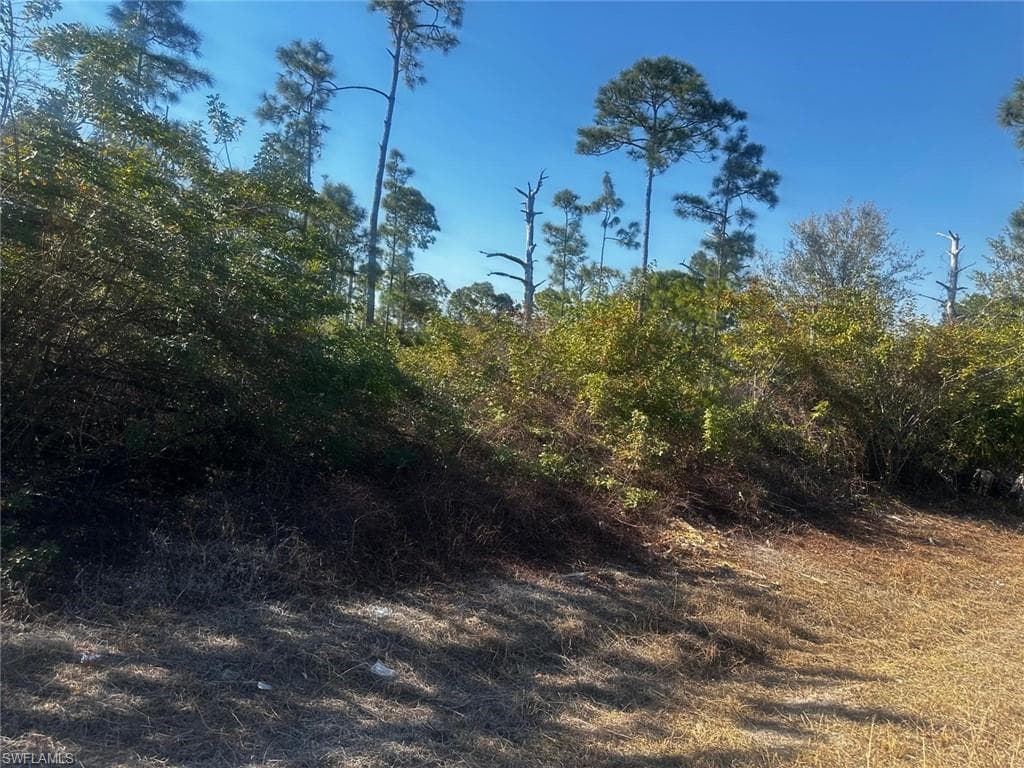 460 Lackey AVE S LEHIGH ACRES, FL 33974