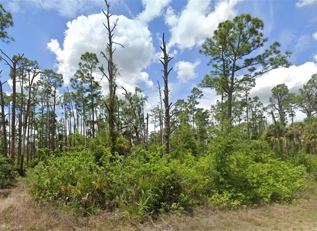 709 Monroe AVE LEHIGH ACRES, FL 33972