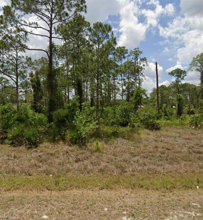 2315 McArthur AVE ALVA, FL 33920