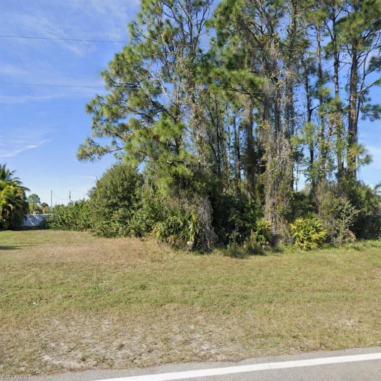 3202 Jacaranda PKWY E CAPE CORAL, FL 33909