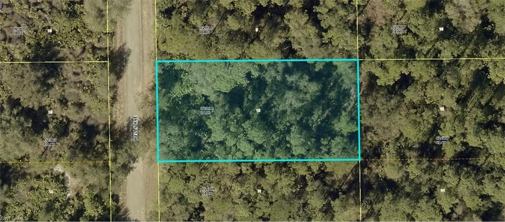 2004 WELLS AVE ALVA, FL 33920