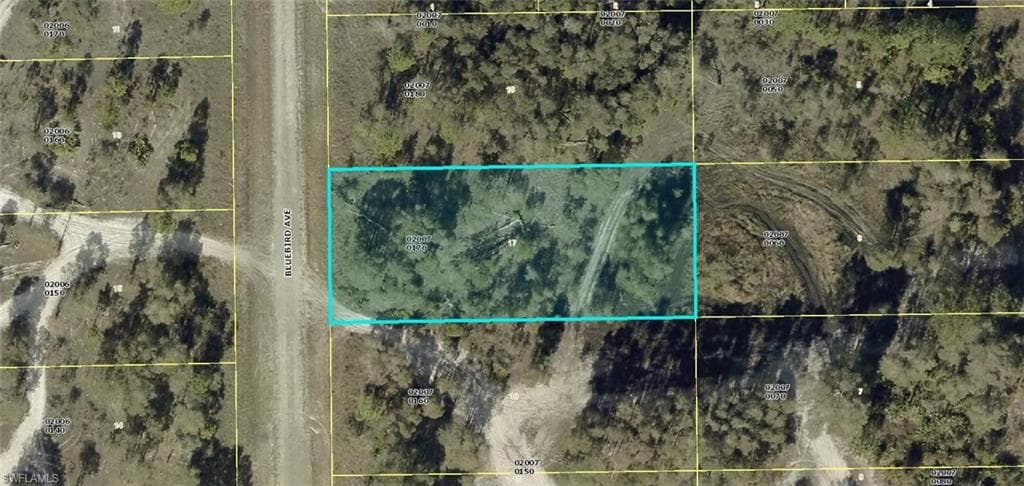 719 Bluebird AVE LEHIGH ACRES, FL 33974