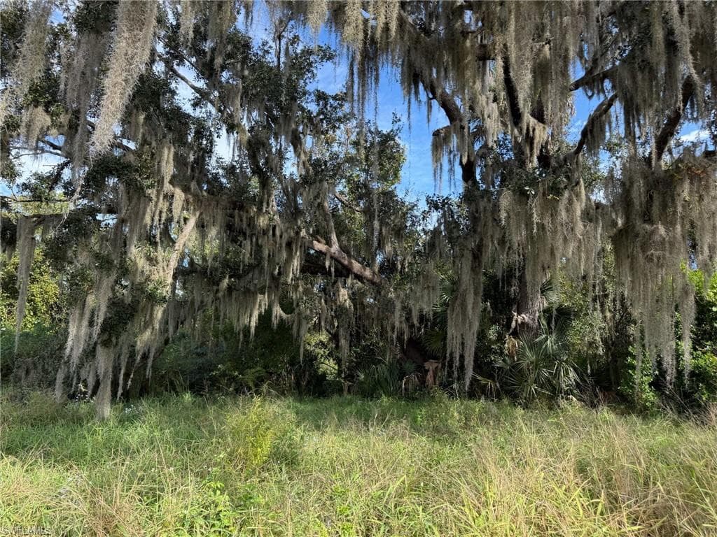 1445 S Florida AVE WAUCHULA, FL 33873