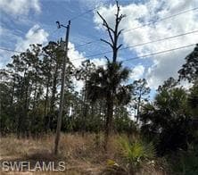 1242 Creary ST E LEHIGH ACRES, FL 33974