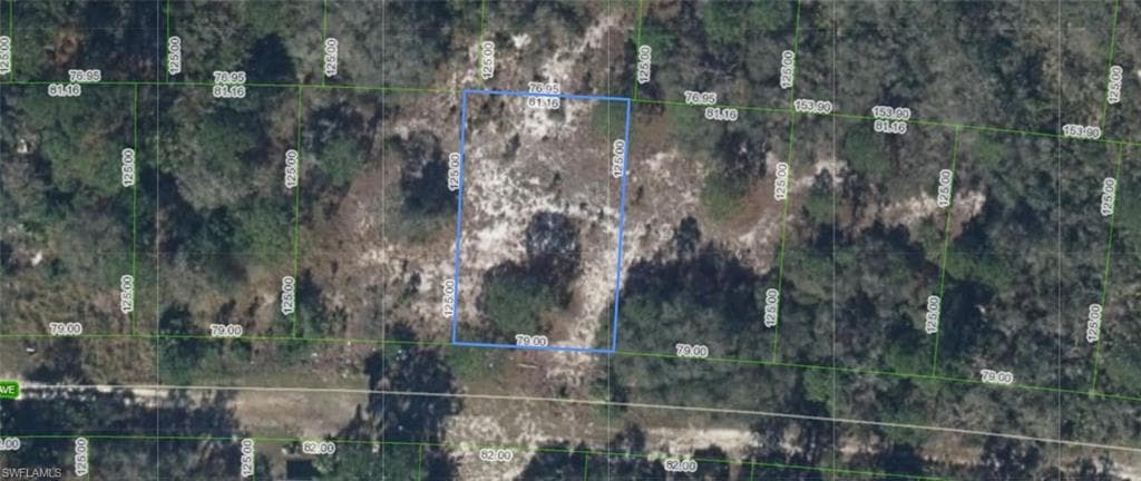 318 Glenbrier AVE LAKE PLACID, FL 33852