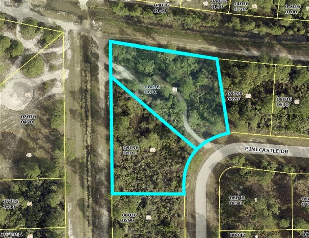 735 Pinecastle DR LEHIGH ACRES, FL 33974