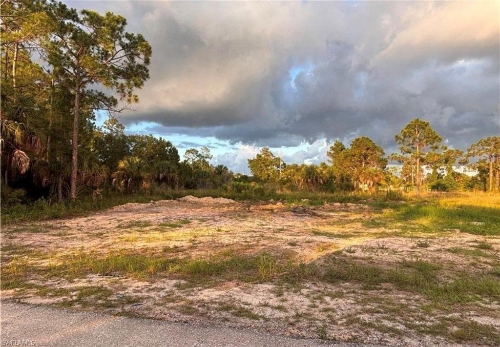 2914 Elaine AVE N LEHIGH ACRES, FL 33971