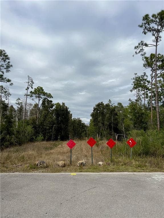24265 Rocky RD BONITA SPRINGS, FL 34135
