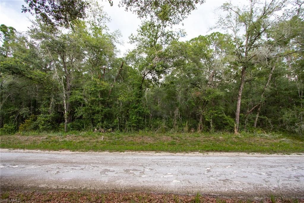 7398 Southeast AVE WEBSTER, FL 33597