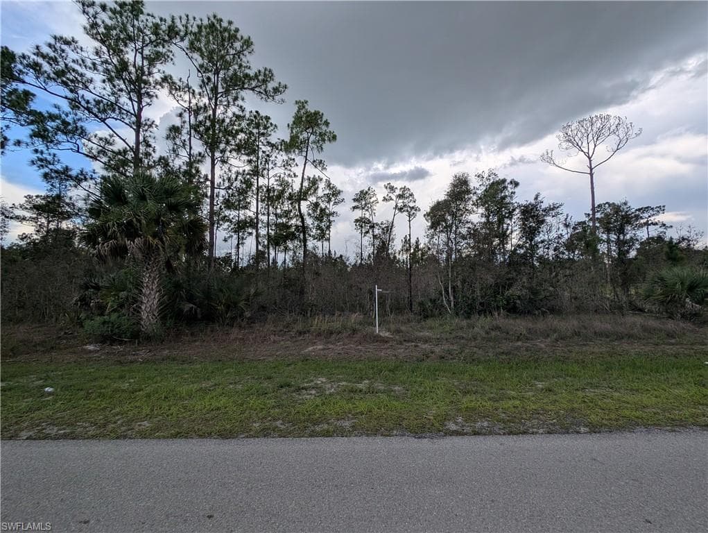 1013 Michael AVE LEHIGH ACRES, FL 33936