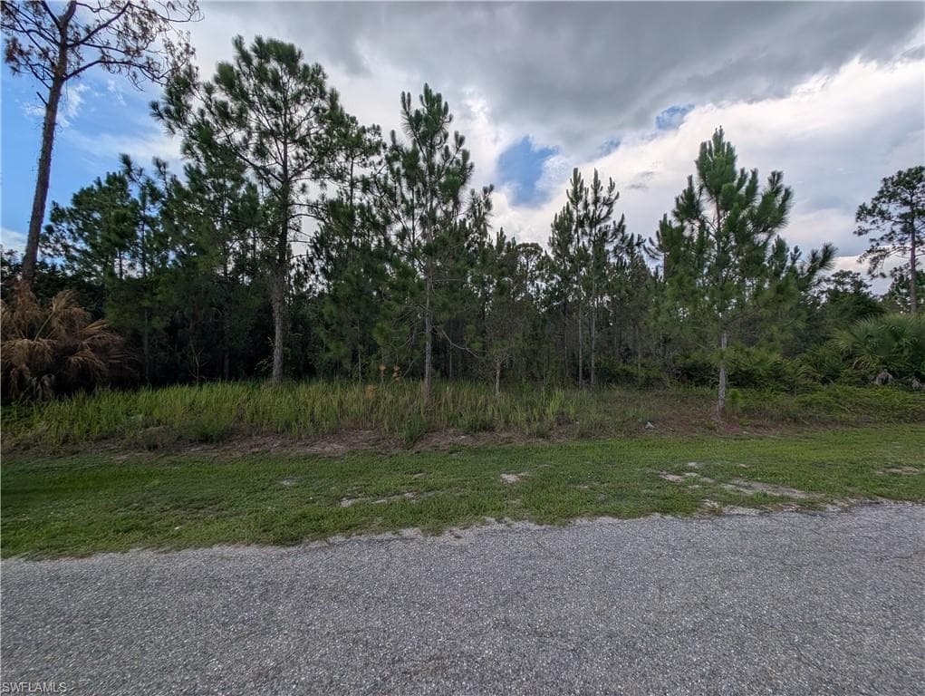 1007 Cleveland AVE LEHIGH ACRES, FL 33972