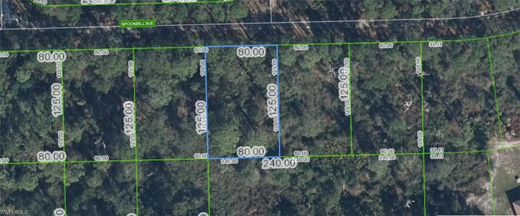 3224 Spoonbill AVE LAKE PLACID, FL 33852