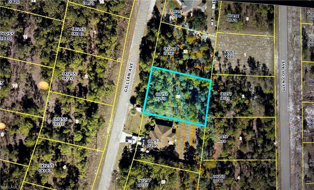 823 Gillian AVE LEHIGH ACRES, FL 33974
