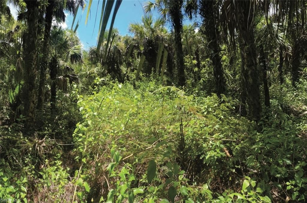 NAPLES, FL 34117