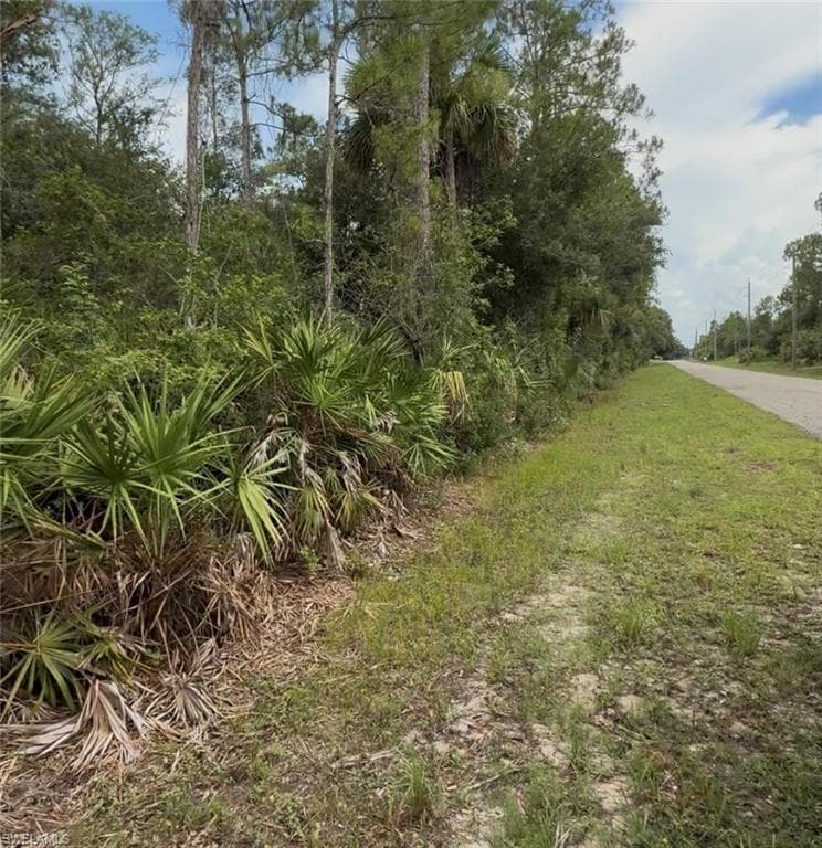 2114 Wellington AVE ALVA, FL 33920