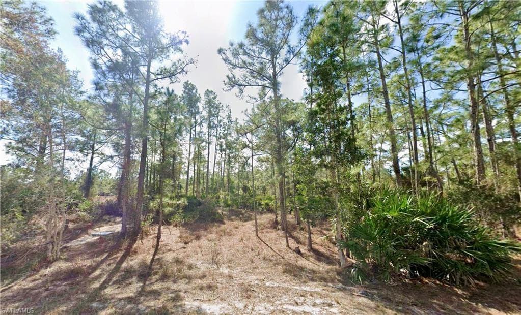339 Mines ST LEHIGH ACRES, FL 33972
