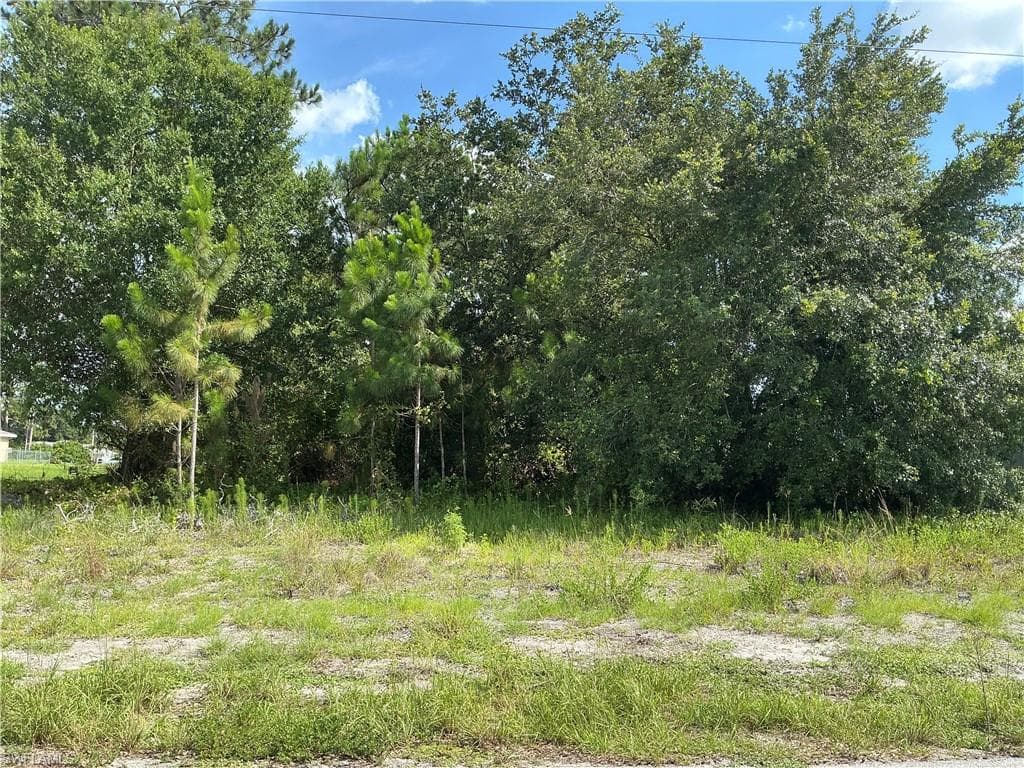 3013 45th ST SW LEHIGH ACRES, FL 33976