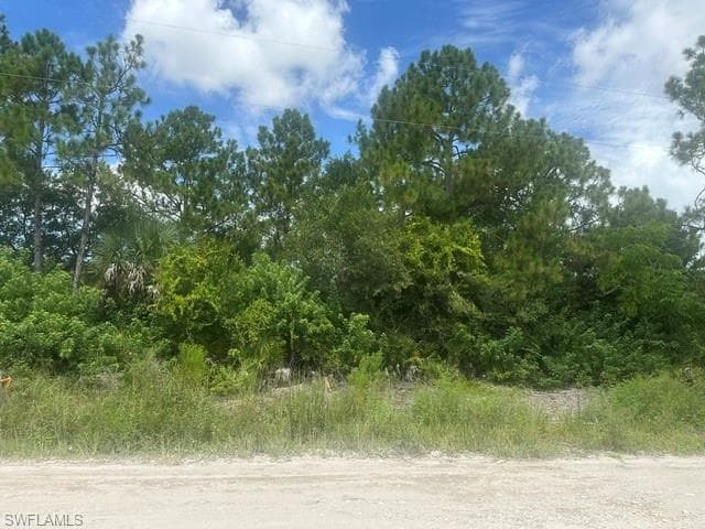 11810 Shawnee RD LEHIGH ACRES, FL 33913