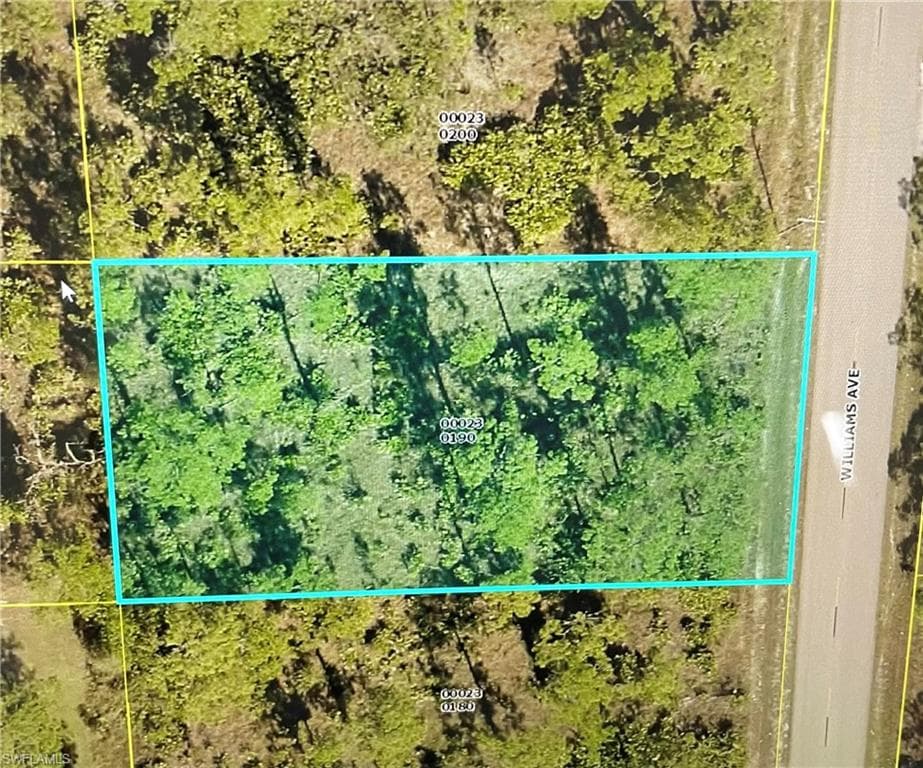 911 Williams AVE LEHIGH ACRES, FL 33972