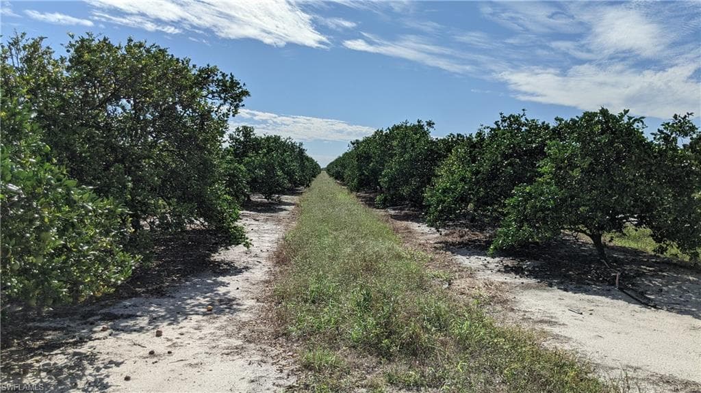 Lots 10-11 7th RD LABELLE, FL 33935
