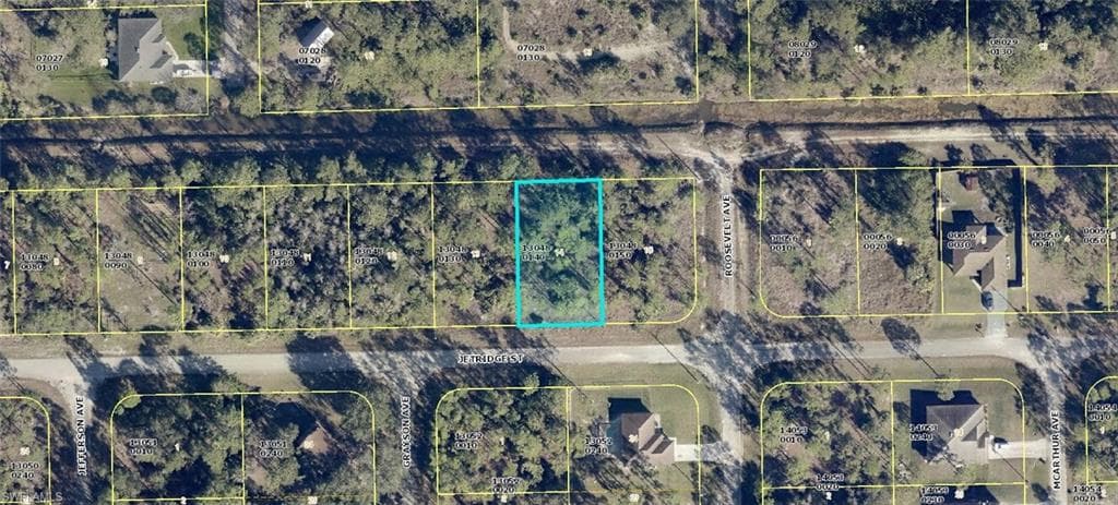 2427 Jetridge ST ALVA, FL 33920