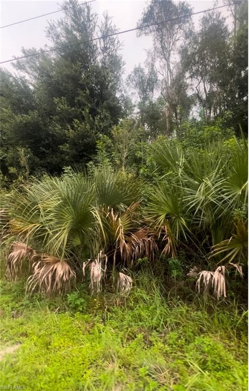 706 Delridge AVE S LEHIGH ACRES, FL 33974