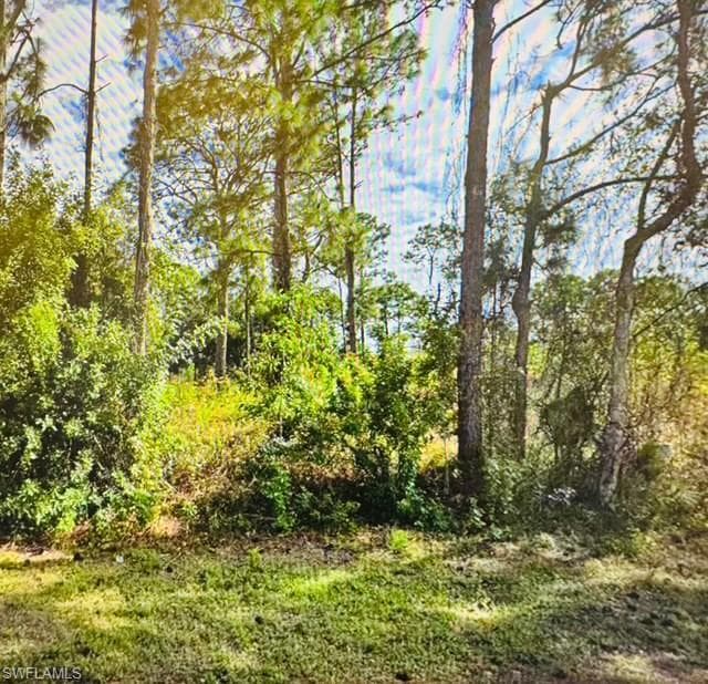 719 Foxtail ST E LEHIGH ACRES, FL 33974